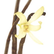 Image of Vanilla Balsamic Vinegar