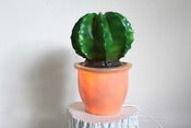 Image of Lampe veilleuse cactus boule ✭