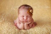 Image of Baby Backdrop- Banana