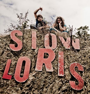 Slow Loris Gift Certificate $32
