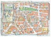 Image of The Map of Spitalfields Life (Hand-tinted Limited Edition Print)