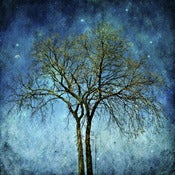 Image of Gemini