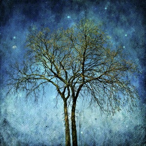 Image of Gemini