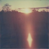 Image of Print - Flare
