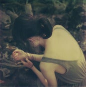 Image of Print - Fall