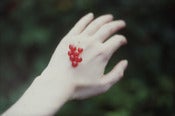 Image of Print - Berries