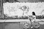 Image of The Bicycle