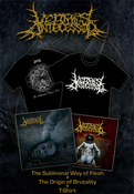 Image of Vermis Antecessor Complete Pack 