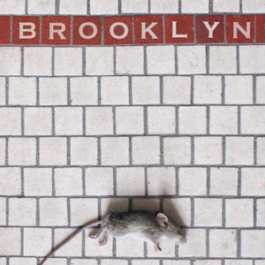 Image of brooklyn mouse magnet