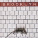 Image of brooklyn mouse magnet