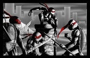 Image of TEENAGE MUTANT NINJA TURTLES - THE ROOFTOP