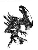 Image of ALIEN - XENOMORPH