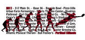 Image of DVD - 2011 Portland Ultimate Summer League Tournament Video