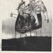 Image of Ivonne Dippmann - I am a confident liar (Book)