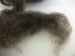 Image of Cotswold/Romney Cross - Red Oak Roving, 2 oz