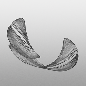 Image of Suspension #1