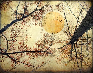 Image of Golden Moon of the Equinox