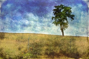 Image of On the Borderline