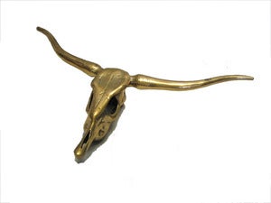 Image of Brass Steer Skull
