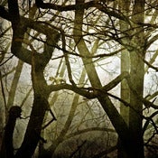 Image of Shelter from the Storm 