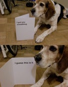 Image of The "I Guess" Card