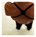 Image of Teddy shirt
