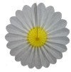 Image of 25" White Tissue Paper Daisy Fan