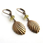 Image of Shell earrings in antiqued brass