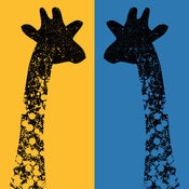 Image of Giraffiti Tee