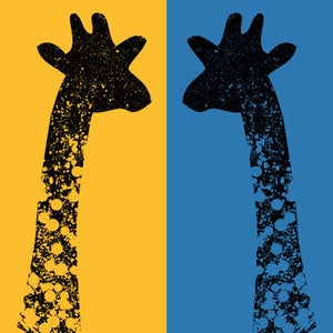 Image of Giraffiti Tee