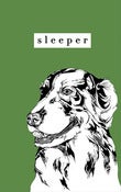 Image of Sleeper Tape