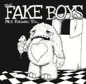 Image of FAKE BOYS "Nice Knowing You" 7"
