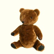 Image of Algernon Bear