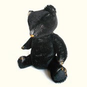 Image of Petr Bear