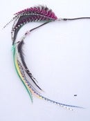 Image of Beautiful Clip in Feather Hair Piece