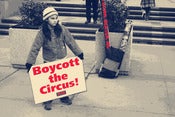 Image of Boycott The Circus