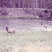 Image of Seahaven "Ghost" EP