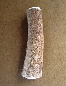 Image of MEDIUM Elk Antler Chew Toy