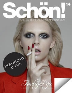 Image of Schön! 14 - Andrej Pejic / eBook download