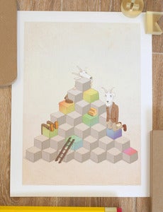 Image of Mountain Goats