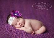 Image of Baby Backdrop- Wisteria