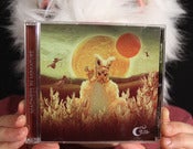 Image of Madness in Miniature CD