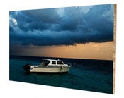 Image of After The Storm