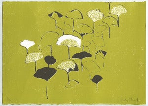Image of A little ginkgo
