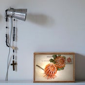 Image of luMierebox - celebrations series