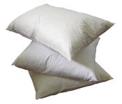 Image of Pillow Fill