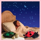 Image of Twilight Turtle (tartaruga e coccinella stellare, luce notturna)