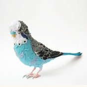 Image of BLUE BUDGERIGAR