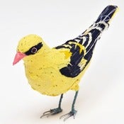Image of GOLDEN ORIOLE