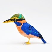 Image of RUFOUS COLLARED KINGFISHER